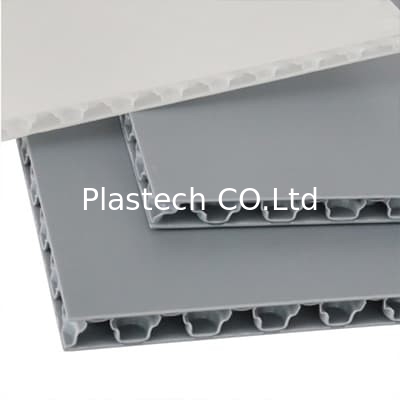 2440x1220mm 12mm 13mm Taşıma Çantası İçin Mat Polipropilen Petek Levhalar